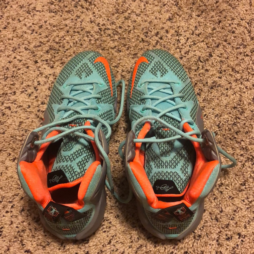 nike LeBron basketball shoes